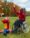 ndis terms australia disability